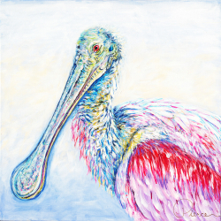 63a.   Spoonbill in a Dream