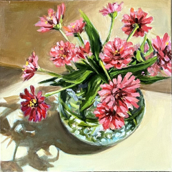 115b.   Summer Zenias