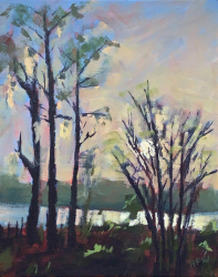 90c.   Swamp Trail Sunset