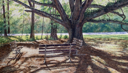 29b.   Tranquil Retreat