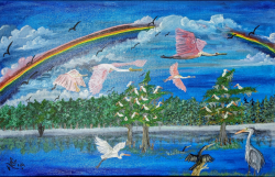 47c.   Treasures of the Wetlands