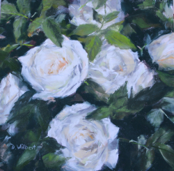 33f.   White Roses