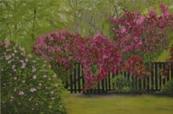 69d.   Wildflower Road Azaleas