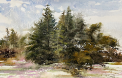 68c.   Winter in the North