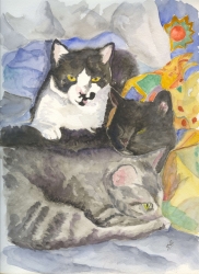 3 Amigos
