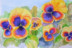 Trish Poynot